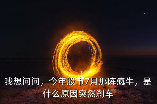 我想問問，今年股市7月那陣瘋牛，是什么原因突然剎車