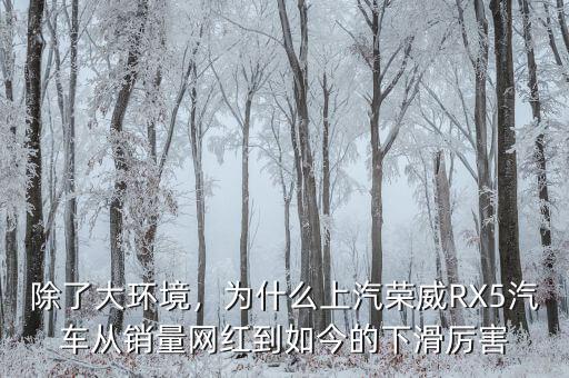 除了大環境，為什么上汽榮威RX5汽車從銷量網紅到如今的下滑厲害