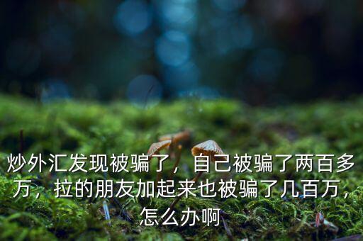 境外炒外匯被偏怎么辦,炒外匯發現被騙了