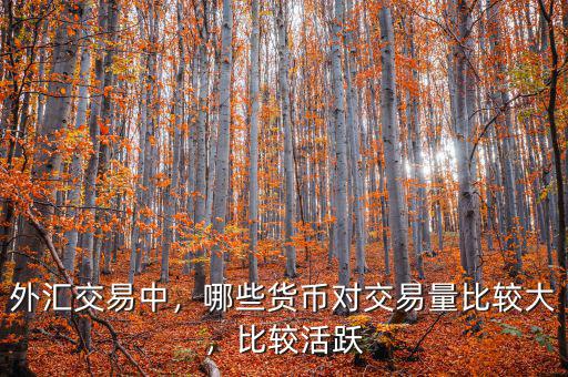 外匯交易中，哪些貨幣對交易量比較大，比較活躍