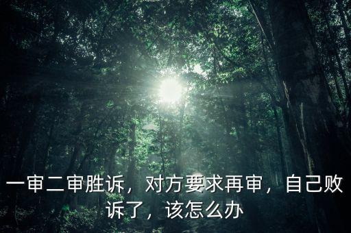 一審二審勝訴，對方要求再審，自己敗訴了，該怎么辦