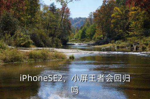 蘋果手機(jī)為什么要回歸小屏手機(jī),小屏王者會回歸嗎