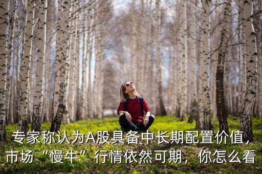 專家稱認為A股具備中長期配置價值，市場“慢?！毙星橐廊豢善?，你怎么看