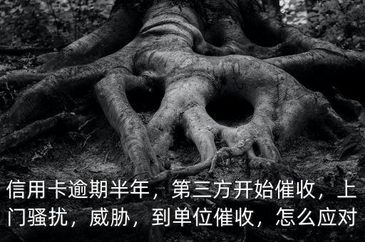 信用卡逾期半年，第三方開始催收，上門騷擾，威脅，到單位催收，怎么應對