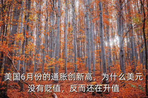 美元為什么在變質,為什么美元沒有貶值