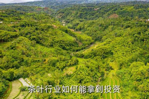 茶葉行業如何能拿到投資