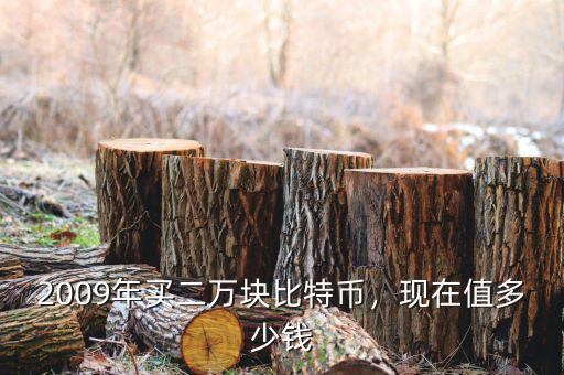 2009年買二萬塊比特幣，現在值多少錢