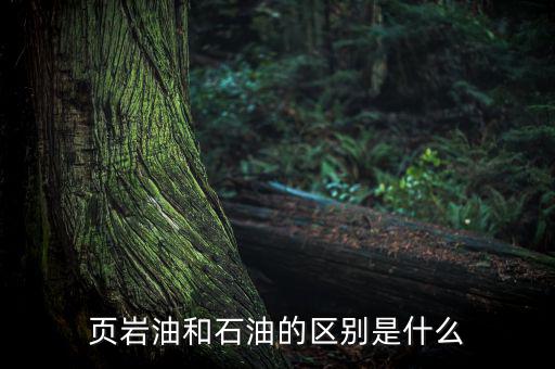 頁巖油和石油的區別是什么