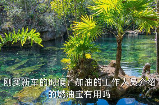 剛買新車的時候，加油的工作人員介紹的燃油寶有用嗎
