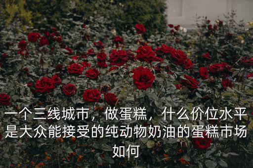 一個三線城市，做蛋糕，什么價位水平是大眾能接受的純動物奶油的蛋糕市場如何