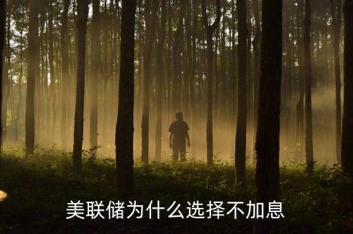 美聯儲為什么選擇不加息