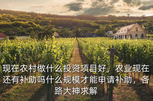 現(xiàn)在農(nóng)村做什么投資項(xiàng)目好，農(nóng)業(yè)現(xiàn)在還有補(bǔ)助嗎什么規(guī)模才能申請補(bǔ)助，各路大神求解