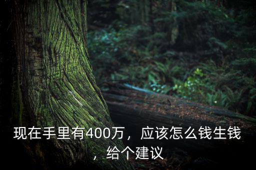 現在手里有400萬，應該怎么錢生錢，給個建議