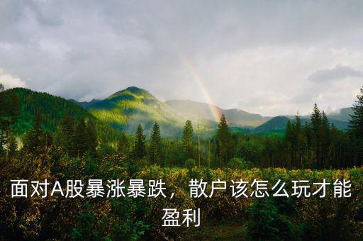 面對A股暴漲暴跌，散戶該怎么玩才能盈利