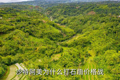 沙特阿美為什么打石油價格戰