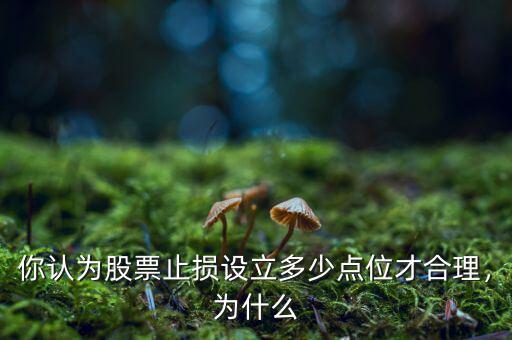 你認為股票止損設立多少點位才合理，為什么