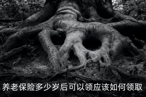 養老金可以拿到多少歲,養老保險多少歲后可以領