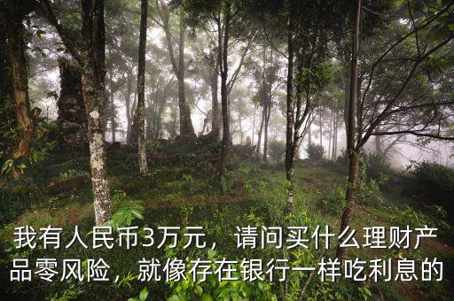 我有人民幣3萬元，請問買什么理財產品零風險，就像存在銀行一樣吃利息的