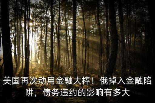 美國再次動用金融大棒！俄掉入金融陷阱，債務違約的影響有多大