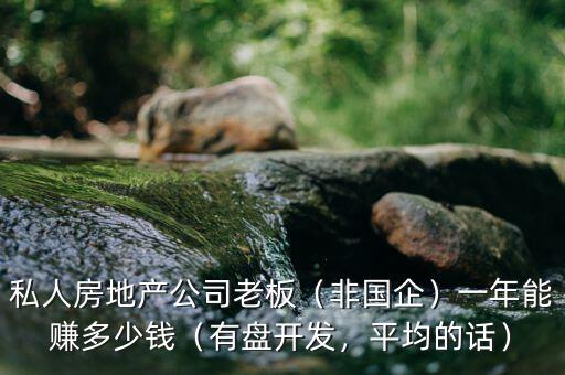 房地產(chǎn)老板一年賺多少,一年能賺多少錢(qián)