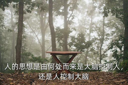 人的思想是由何處而來是大腦控制人，還是人控制大腦
