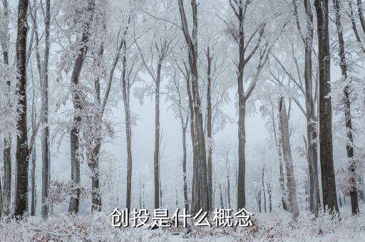 深創投是一家什么樣的公司,創投板塊是收集新上市的公司