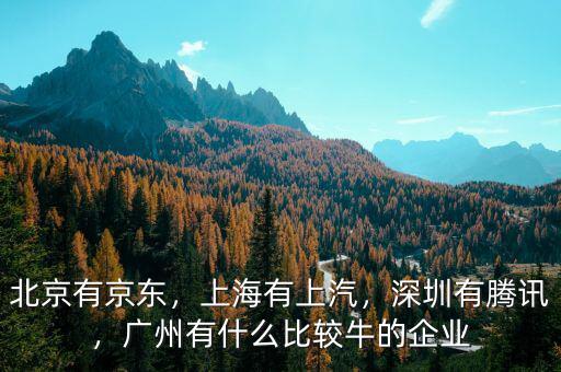 北京有京東，上海有上汽，深圳有騰訊，廣州有什么比較牛的企業