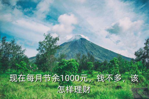 現(xiàn)在每月節(jié)余1000元，錢不多，該怎樣理財(cái)