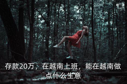 存款20萬，在越南上班，能在越南做點什么生意