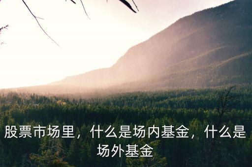 股票市場里，什么是場內基金，什么是場外基金