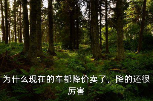 為什么現在的車都降價賣了，降的還很厲害