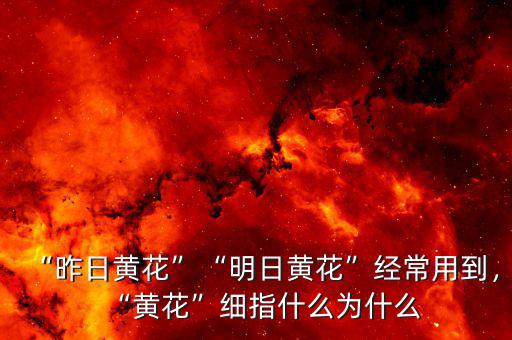 “昨日黃花”“明日黃花”經常用到，“黃花”細指什么為什么