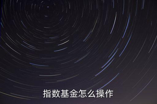 指數基金怎么玩,指數基金如何做T