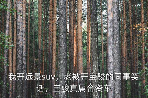 我開(kāi)遠(yuǎn)景suv，老被開(kāi)寶駿的同事笑話(huà)，寶駿真屬合資車(chē)