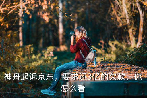 神舟起訴京東，要求還3億的欠款，你怎么看