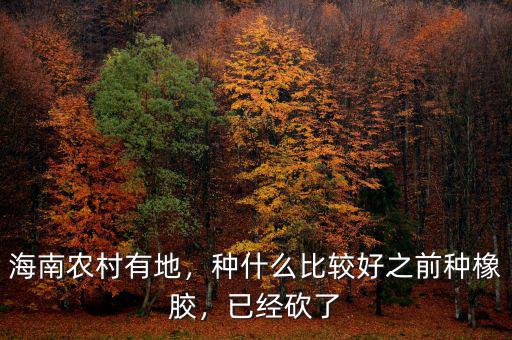 海南農村有地，種什么比較好之前種橡膠，已經砍了