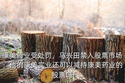 康美藥業的市盈率是多少,你認為A股的底是多少點