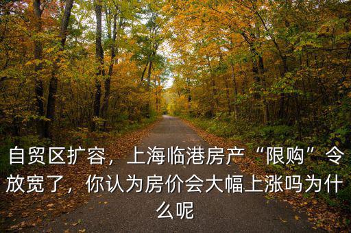 自貿區擴容，上海臨港房產“限購”令放寬了，你認為房價會大幅上漲嗎為什么呢