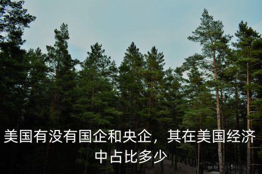 美國有沒有國企和央企，其在美國經濟中占比多少