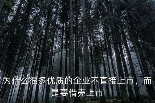 為什么很多優質的企業不直接上市，而是要借殼上市
