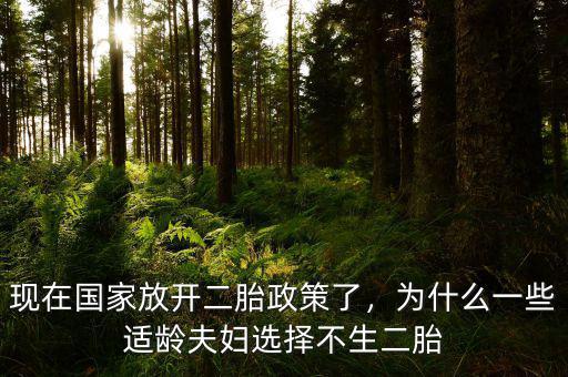 現在國家放開二胎政策了，為什么一些適齡夫婦選擇不生二胎