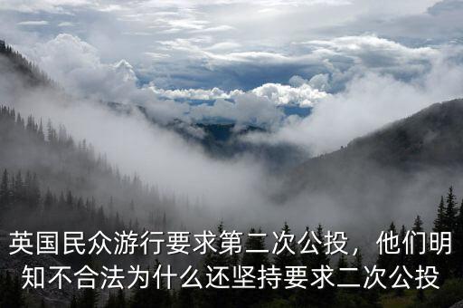 英國(guó)民眾游行要求第二次公投，他們明知不合法為什么還堅(jiān)持要求二次公投