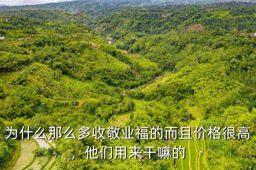 敬業福什么時間送的多,為什么那么多收敬業福的