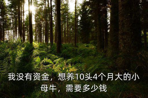 我沒有資金，想養10頭4個月大的小母牛，需要多少錢
