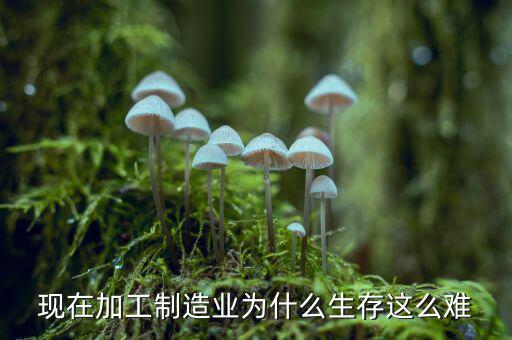 為什么今年制造業不行,印度為什么不發展制造業