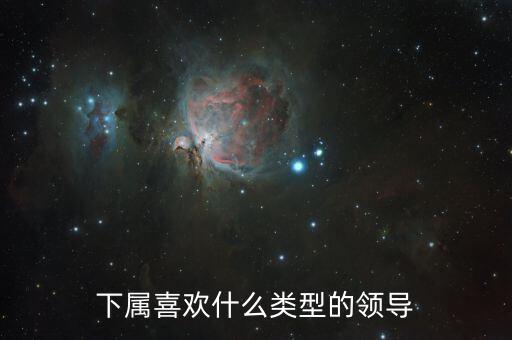 李讜是什么類型的領導,領導都是什么樣的
