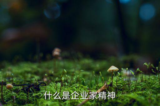 什么精神是企業家精神的本性,什么樣的人才可以稱為企業家