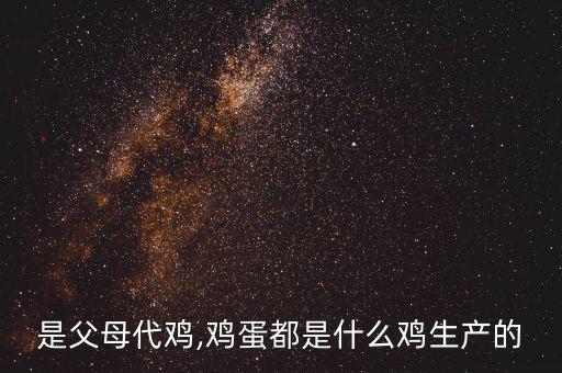 什么是父母代雞,雞蛋都是什么雞生產的