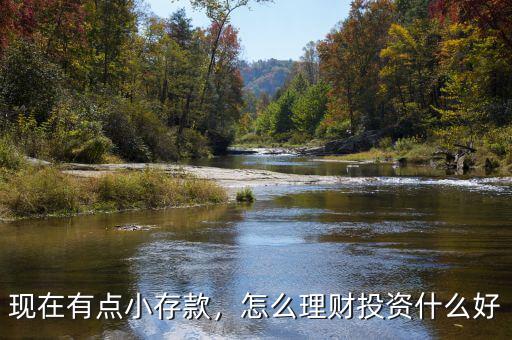 現在有點小存款，怎么理財投資什么好