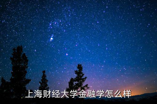 上海開利財經怎么樣,上海財經大學數學專業怎么樣
